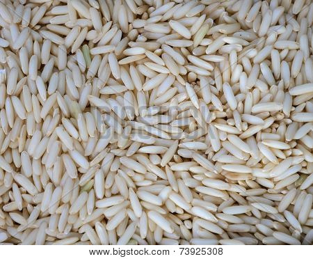 Glutinous Rice Grain Background