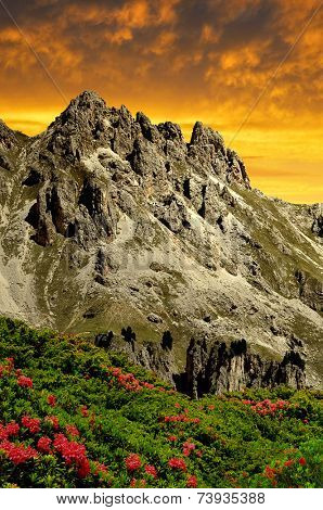 Dolomite peaks, Rosengarten in the sunset,Val di Fassa, Italy Alps