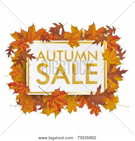 Golden Paper Board Autumn Foliage Sale