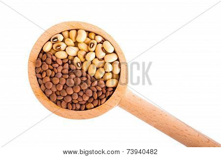 Collection of Beans