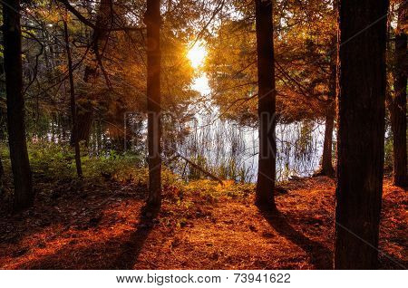 New Day Dawning