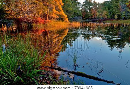 Autumn Morning Reflections