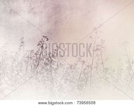 Romantic background - vintage field landscape