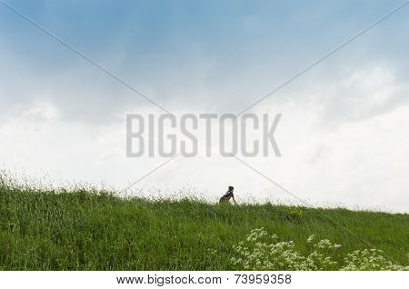 Lonely Biker On Dike