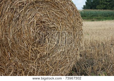 Hay Ball / Straw Ball
