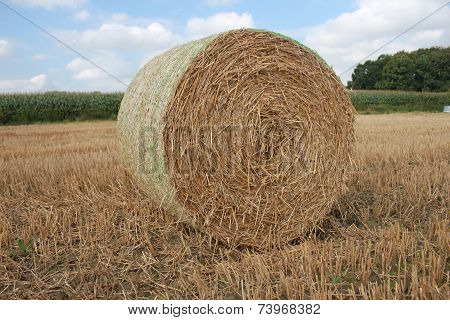 Hay Ball / Straw Ball