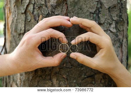 Two hands with wedding rings hugging trunk large tree, close-up