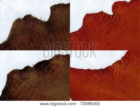 Ragged Edges Terracotta Suede And Brown Crocodile Leather Texture
