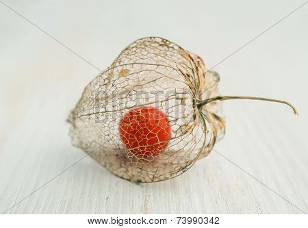 Physalis Close-up On Wooden Background