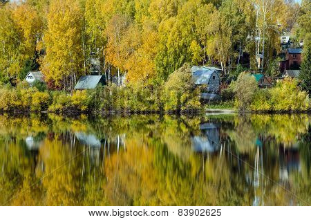 Forest Lake
