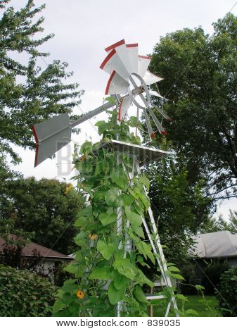 Hinterhof-Windmühle