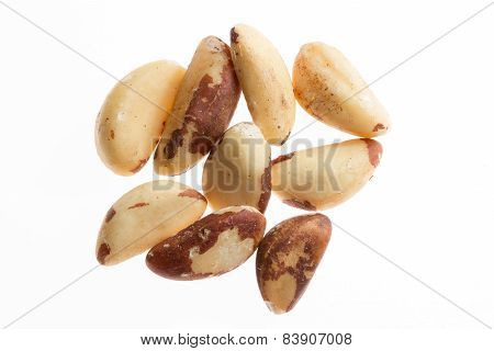 Brazil Nuts Isolated On White Background