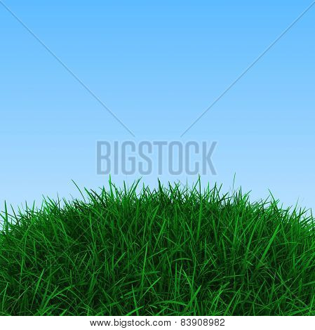 Background with green grass and blue sky, 3d render