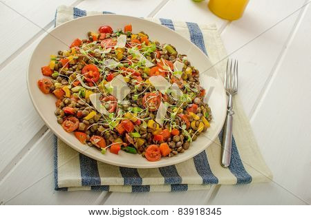 Warm Salad Of Lentils, Bio Healthy