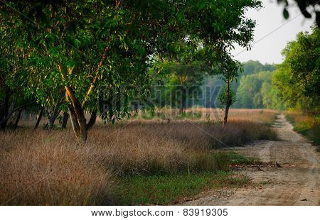 Vietnam Country Road