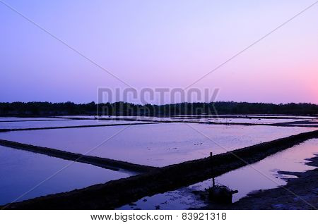 Rice Paddies of Vietnam