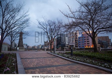Old Tree In The Park In Fukuoka City,japan