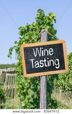 A blackboard in the vineyards - Wine Tasting