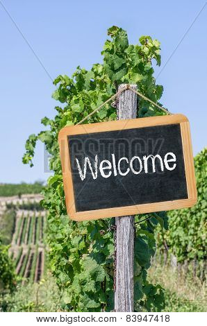Welcome written on a blackboard in the vineyards