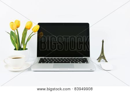 Laptop And Flower Pot Isolate