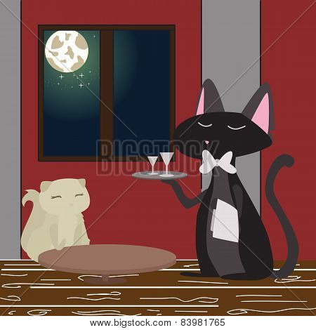 kitty order