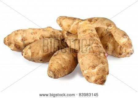 sunroot tubers or topinambur or jerusalem artichoke (Helianthus tuberosus)