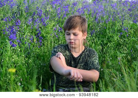 Teen Boy With Allergies In Flowering Herbs