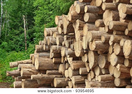 Woodpile From Sawn Pine And  Spruce Logs For Forestry Industry