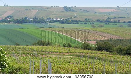 Rheinhessen