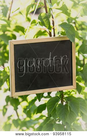 Toned Photo Of Blackboard With Text 