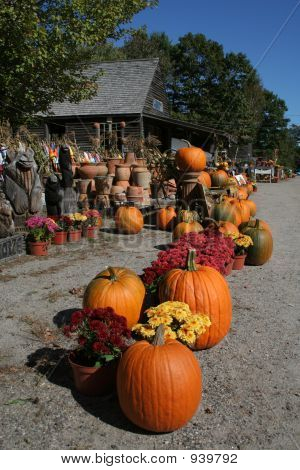 Pumpkin Roadstand 