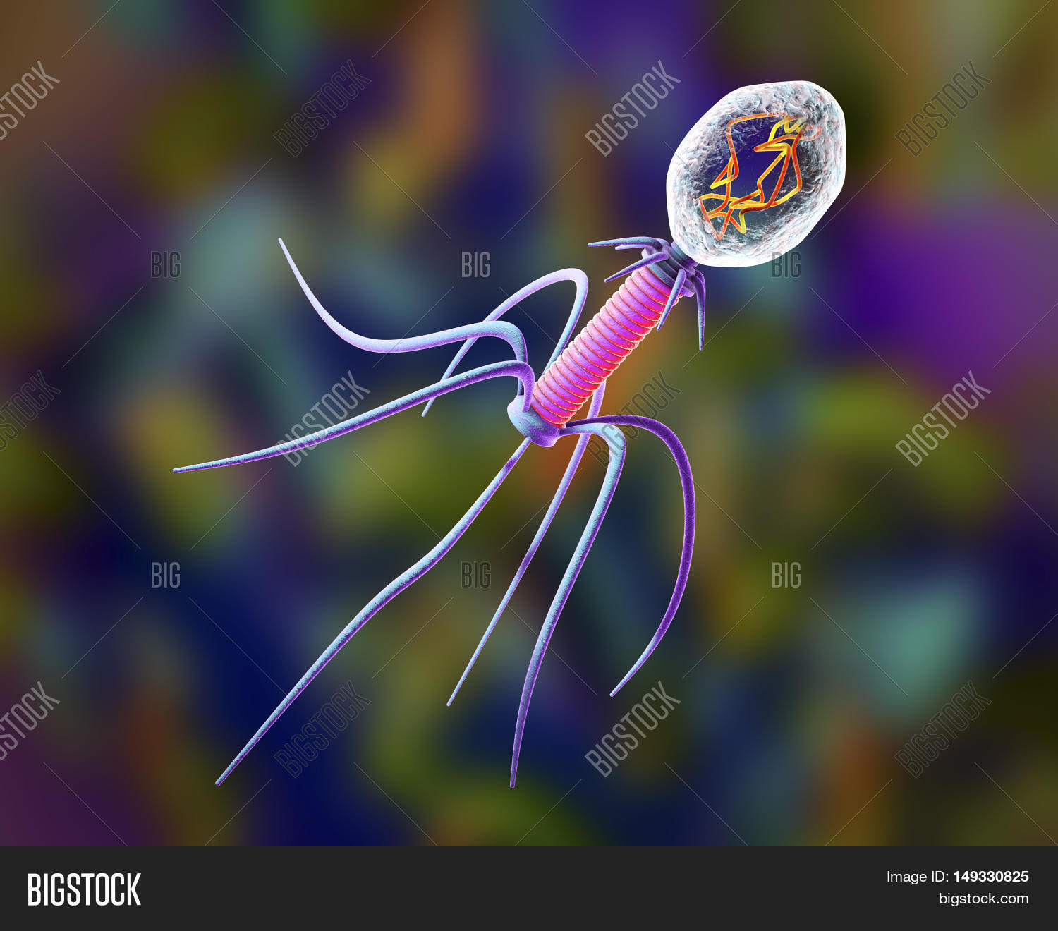 бактериофаг t4 под микроскопом. бактериофаг кишечной палочки содержит днк. бактериофаг e coli. бактериофаг escherichia coli. гемофильная палочка бактериофаг.