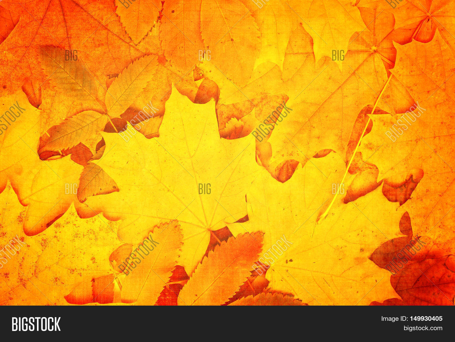 Grunge Fall Background Image & Photo (Free Trial) | Bigstock