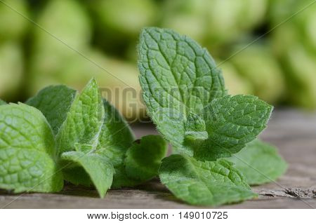 Close up fresh green peppermint leaves. Mint herbs on vintage wooden surface.