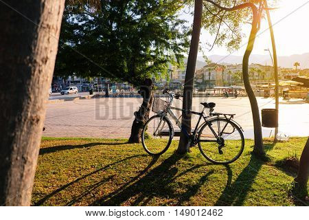 Bicycle in a green park under sunlight with silhouette trees