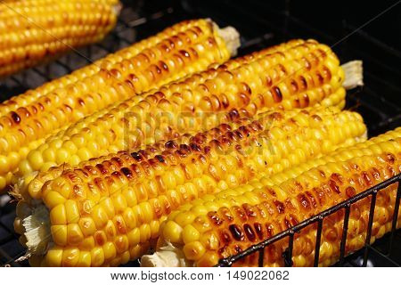 Cooked Corn Cobs On Barbecue Grill