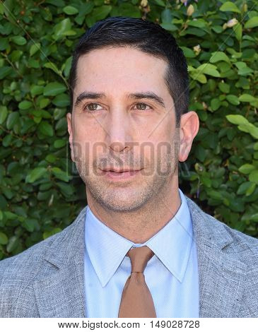LOS ANGELES - SEP 25:  David Schwimmer arrives to The Rape Foundation Annual Brunch on September 25, 2016 in Beverly Hills, CA                