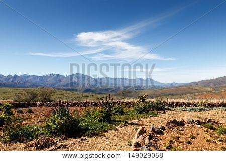 The Garden At The Entrance Of The Swartberg Pass