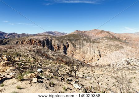 Rocks And Trees On The Mountain -the Swartberg Pass