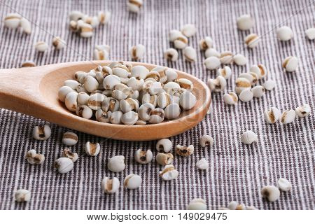 Coixseed With Wooden Spoon