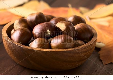Chestnuts in wooden bowl photographed with natural light (Selective Focus Focus on the front of the chestnuts on the top)