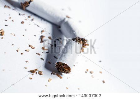 Broken Cigarette With Tobacco Pieces In Whitebox