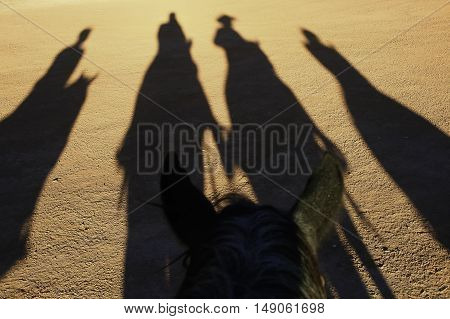 Shadows of riders sitting on horses in the late afternoon sun