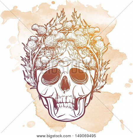 Hipster style human skull with a Skottish Thistle wreath. Hand drawn sketch on a watercolor spot. Vintage design. Halloween concept art. EPS10 vector illustration.