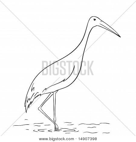 Heron pták stojí ve vodě