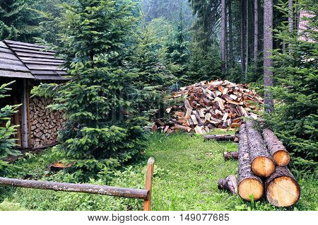 Chopped firewood logs in pile. Nature background. Wood preparation. Large pile of fresh cut wood