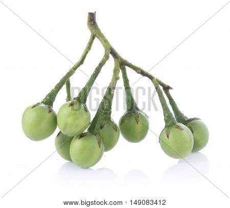 Closeup Solanum torvum on white background. food