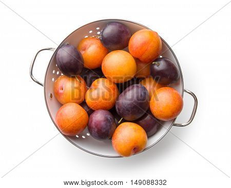 Yellow and purple plums in colander. Top view.
