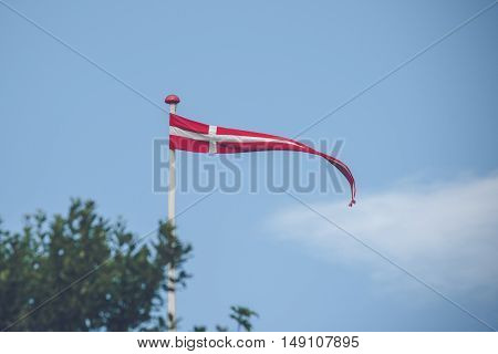 Danish Pennant In The Wind