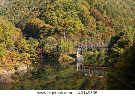 Autumn red bridge and forest over a Fujiwara lake in Minakami, Gunmma